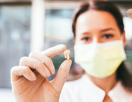 A dental professional holding an extracted tooth between her thumb and forefinger